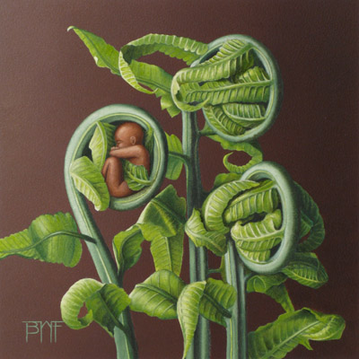 Fern Baby Fern